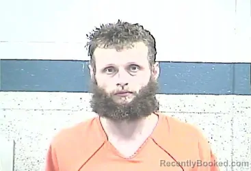 Mugshot of WARD McCLANE