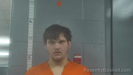 Mugshot of CAMRON ALLEN LEE MCGAHA