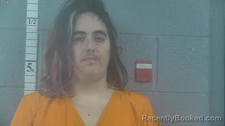 Mugshot of DESTINEY CLARK