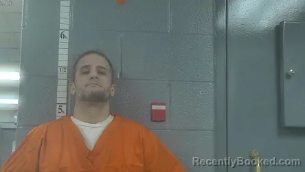 Mugshot of DAVID MITCHELL LUCAS