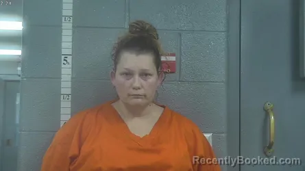 Mugshot of HEATHER LYNN DOBSON