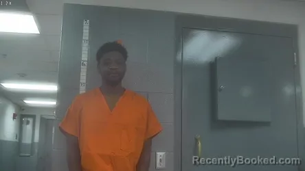 Mugshot of JAVEL LEE