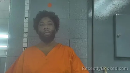 Mugshot of KEYRVA BURCH