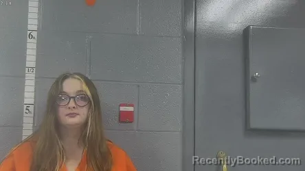 Mugshot of KENZIE VANARSDALE