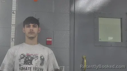 Mugshot of LIOSCAR LUIS MAURI GOMEZ