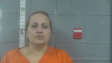 Mugshot of LISETT F PENA