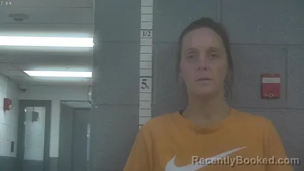 Mugshot of LINDSAY R WILLIAMS