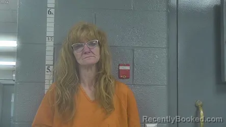 Mugshot of MELISSA CAROL BOYD