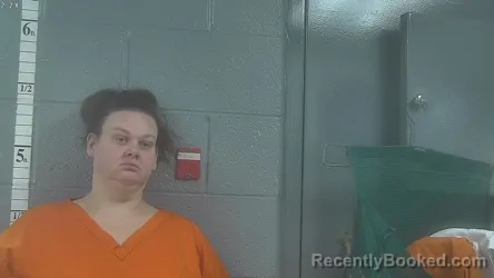 Mugshot of MELISSA NALLEY