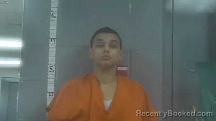 Mugshot of MALIK STONE