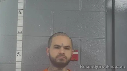 Mugshot of TYLER L MORGAN