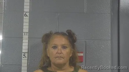 Mugshot of Tina Ann Nolan booked in Bullitt County, Kentucky on September 8, 2026