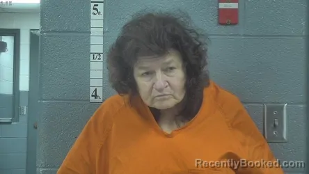 Mugshot of Terri Power booked in Bullitt County, Kentucky on August 21, 2026