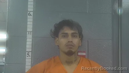 Mugshot of VICTOR CASTILLO (ARCHILA)