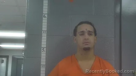 Mugshot of YONNIS ABREU-CORBALAN