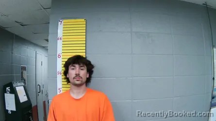 Mugshot of TY R GRIFFIN