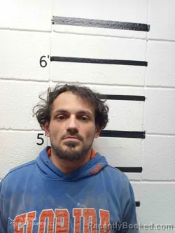 Mugshot of TRAVIS ROBINSON