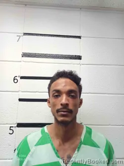 Mugshot of MICHAEL BURGESS