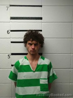 Mugshot of BRAIDEN BRASHER