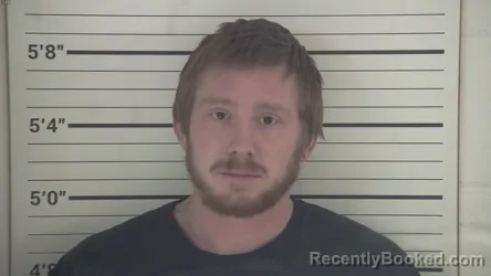 Mugshot of AUSTIN MICHAEL GALLENSTEIN