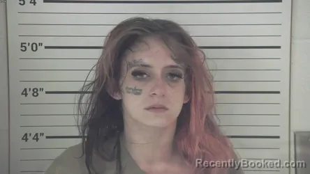 Mugshot of ALEXIS SYDNEY WORLEY booked in Campbell County, Kentucky on April 13, 2026