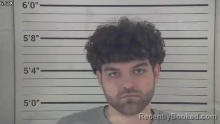 Mugshot of BRANDON LEE MAYNE