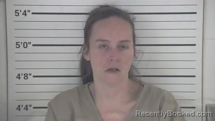 Mugshot of BRANDY SUE TIMERDING