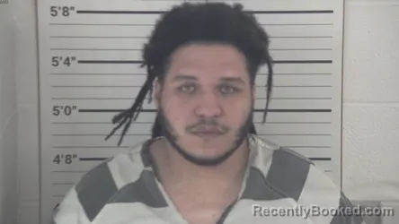 Mugshot of CECIL BOGAN MCCUTCHEN