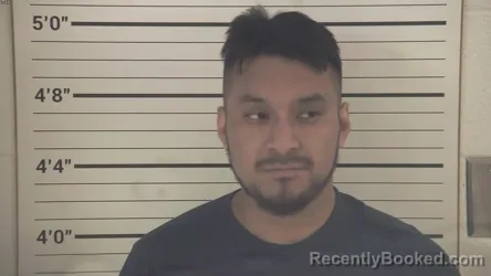 Mugshot of DAVID MOISES LOPEZ-CORONADO