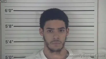 Mugshot of DARYNEL LEAMONT TERRELL