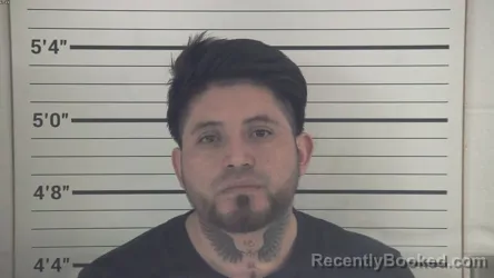 Mugshot of HENRY ELIBER GONZALEZ ROBLERO