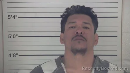 Mugshot of JEREMIAS HERNANDEZ ALVARENGA
