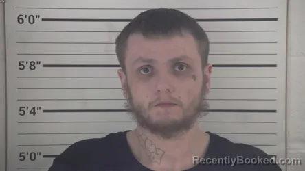 Mugshot of JOSHUA WAYNE ROBINSON