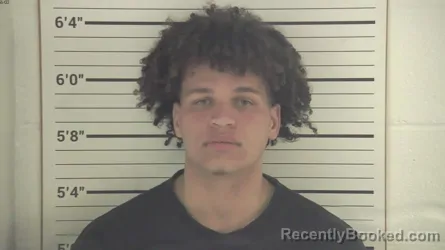 Mugshot of JAMARKIS EDWARD SHILLINGFORD