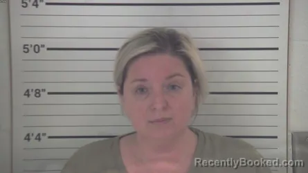 Mugshot of LAURIE AMBER HAMILTON