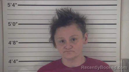 Mugshot of LYNDSEY MICHELLE NICKOSON