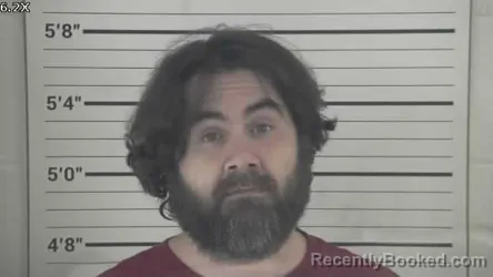 Mugshot of MICHAEL WAYNE ANDERSON