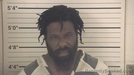 Mugshot of MAURICE LEE