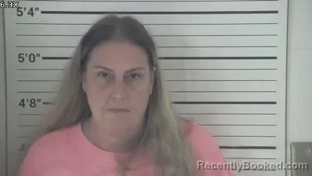 Mugshot of MELISSA GAIL PURVIS