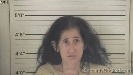 Mugshot of ROBYN LYNN DENNISTON