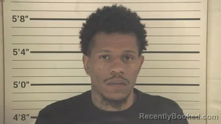 Mugshot of RAYSHAWN MASON FERNANDEZ