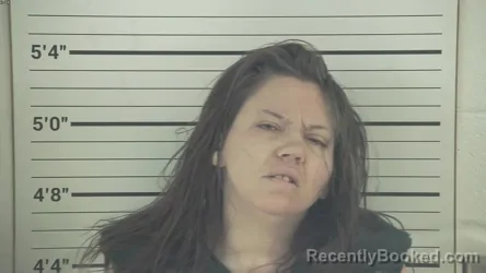 Mugshot of SARAH ANNE HOOKER