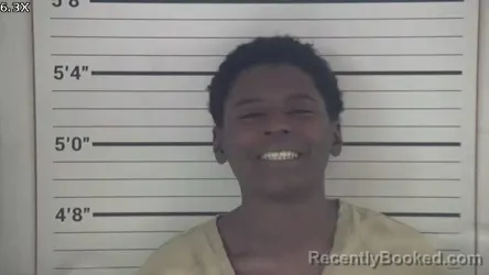 Mugshot of TOMIKO BRASHANNA A'SHELL LEFLORE