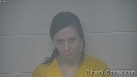 Mugshot of ALISON LYN HATTER