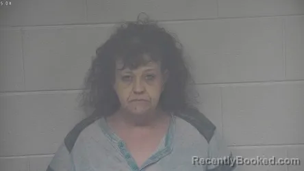 Mugshot of AMANDA MCDOWELL