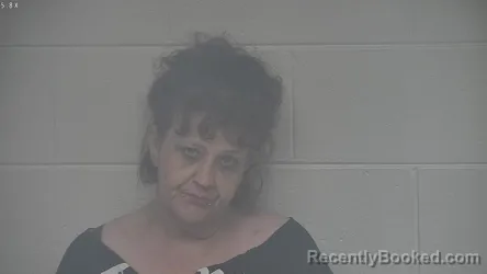 Mugshot of AMANDA MCDOWELL booked in Carroll County, Kentucky on April 2, 2026