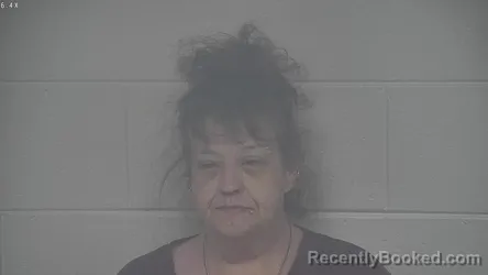 Mugshot of AMANDA MCDOWELL booked in Carroll County, Kentucky on June 16, 2026