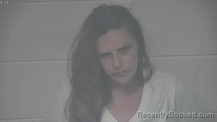Mugshot of ASHLEY PARKER booked in Carroll County, Kentucky on June 19, 2026