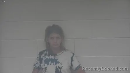 Mugshot of ASHLEY VINCENT
