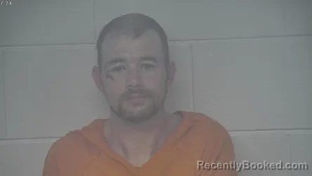 Mugshot of BRYAN LANE